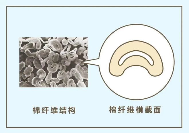 江南体育官网秋天忽冷忽热真心劝你给娃换上这种衣服(图1)